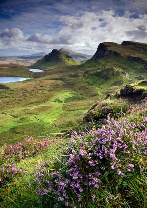 Photo: 'My Bonnie Heather II' - Angie Latham | 
The Quiraing, North Skye