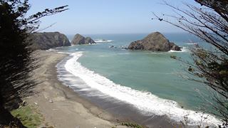 Photo: Steel this award-winner at your peril !