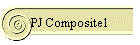 PJ Composite1